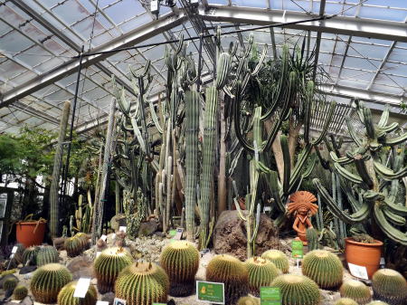 中南米産植物温室